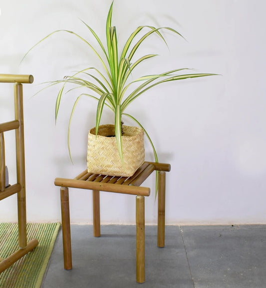 Pot stand Bamboo-Single level pot stand made from finely finished bamboo strips. Perfect for homes, offices and other commercial spaces having an earthy touch. The planter stands are eye-catching, modern, and minimalistic, available predominantly in a nat