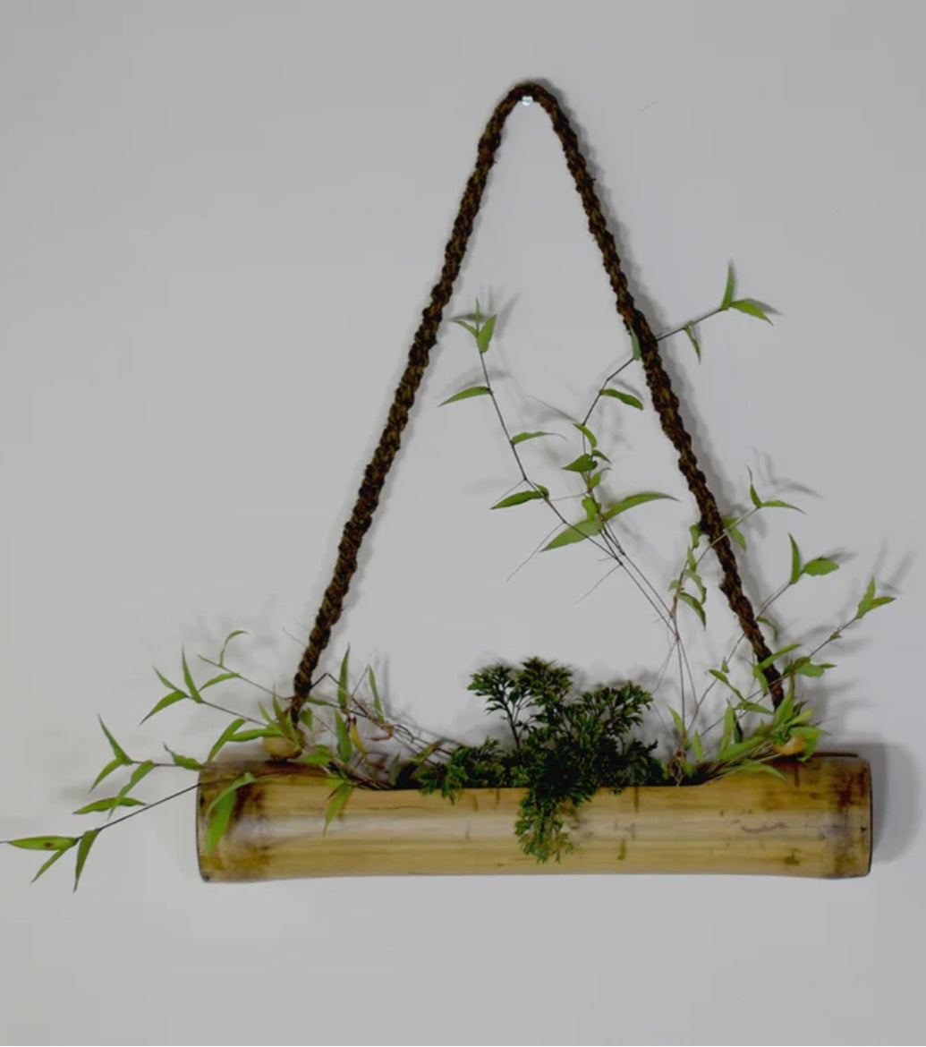 Bamboo Hanging planter with rope-Pot handmade bamboo eco-friendly sustainable organic zero waste pollution free elegant luxury